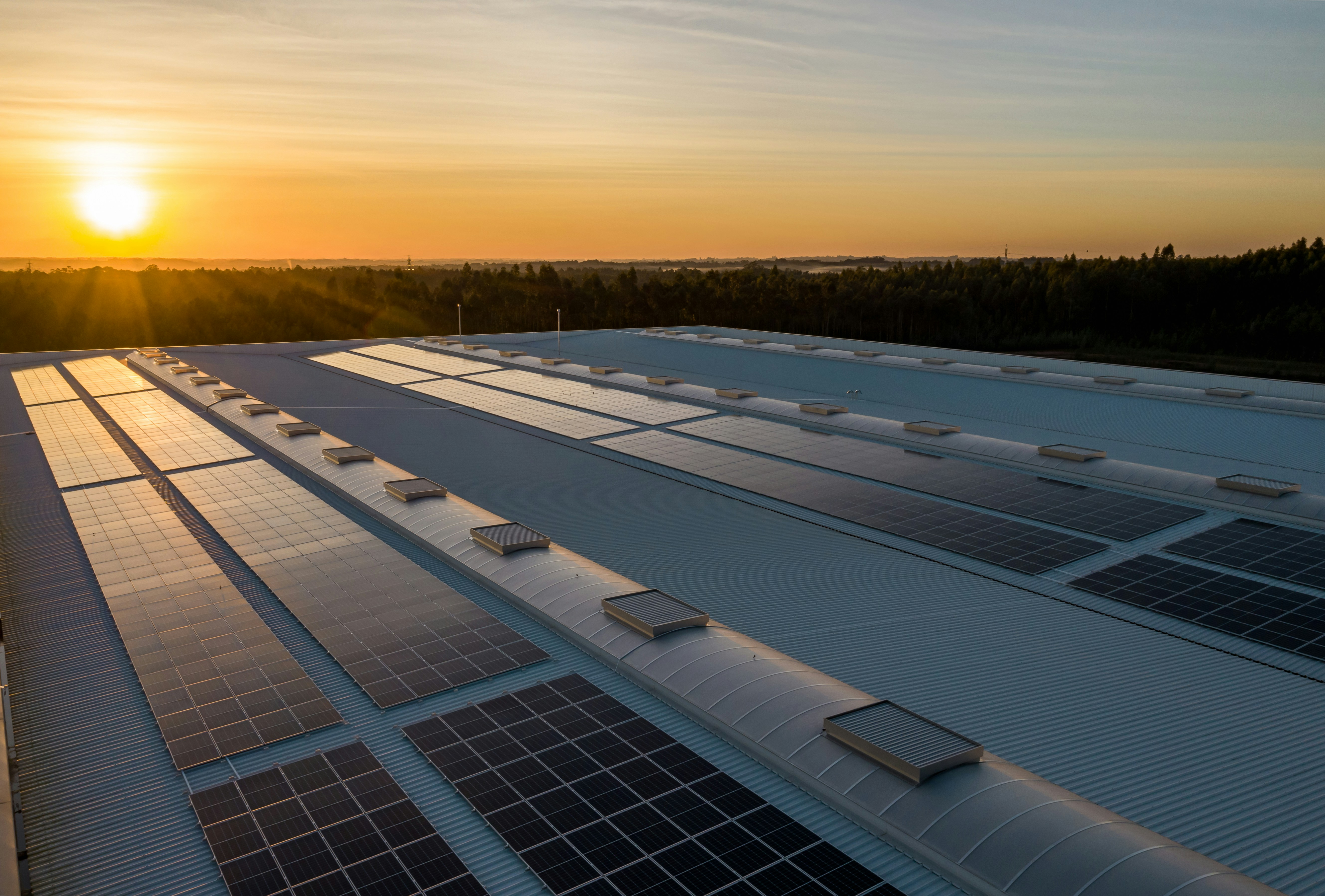 Electrical Safety & Tariff Compliance Advisory